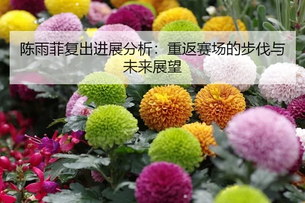 陈雨菲复出进展分析：重返赛场的步伐与未来展望